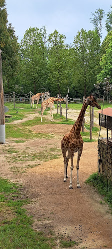 ZOO Planckendael