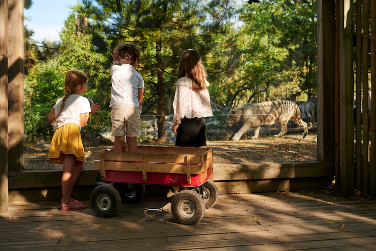 Zoo de Bordeaux-Pessac