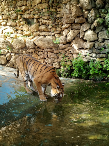 Zoo de Castellar