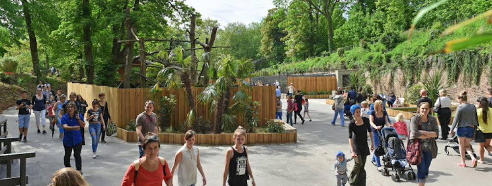 Zoo de Lille Travel Forum Reviews