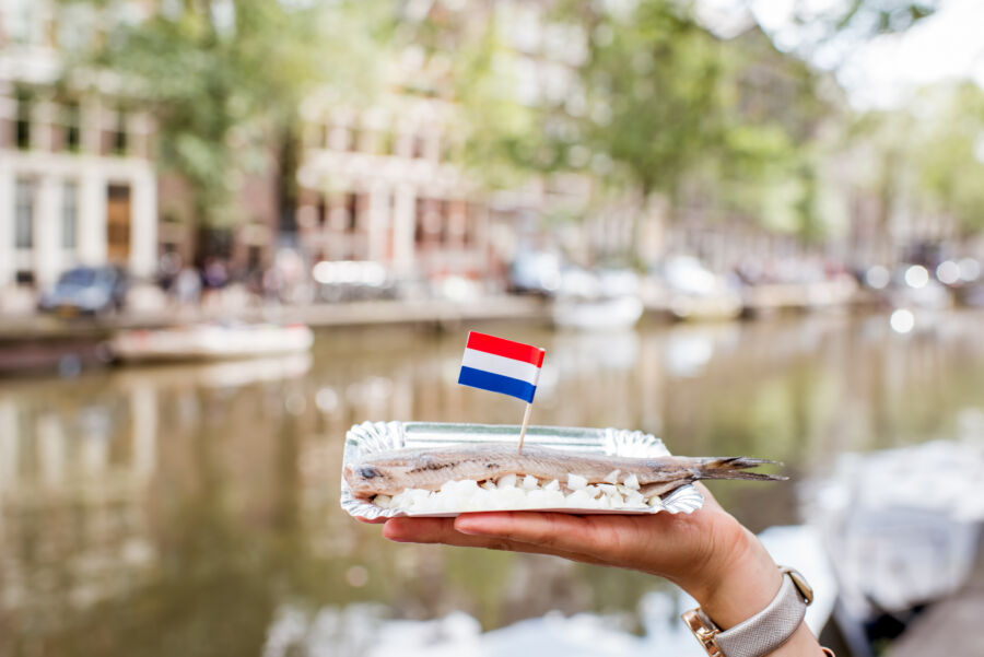 Fresh herring garnished with onion, displayed with the Netherlands flag, alongside a scenic Amsterdam water channel