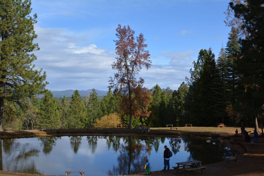 Apple Hill CA Pond