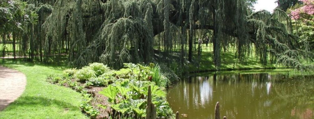 Arboretum of the Valley of Wolves