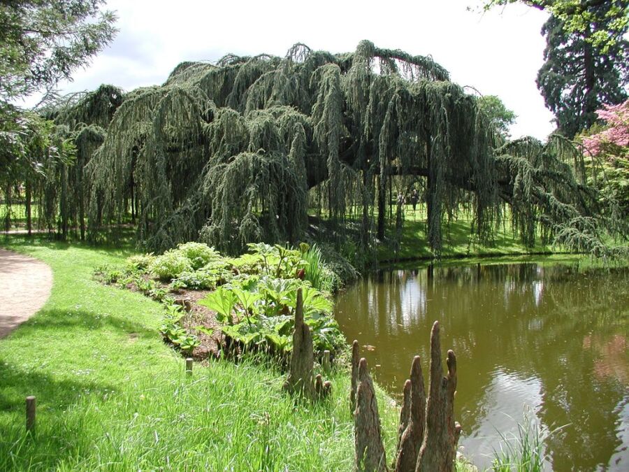 Arboretum of the Valley of Wolves