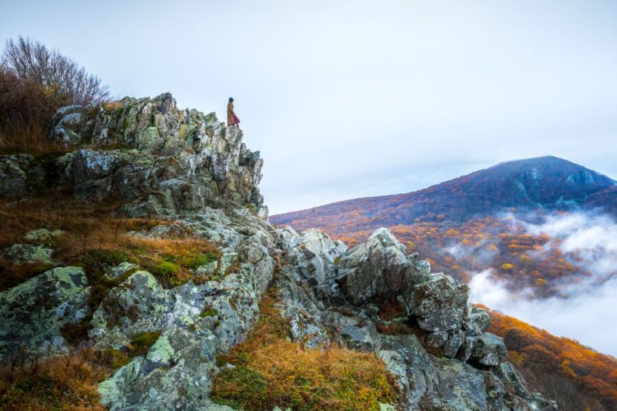 Shenandoah National Park, Virginia