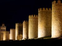 avila and Rueda wine tour from Madrid Review