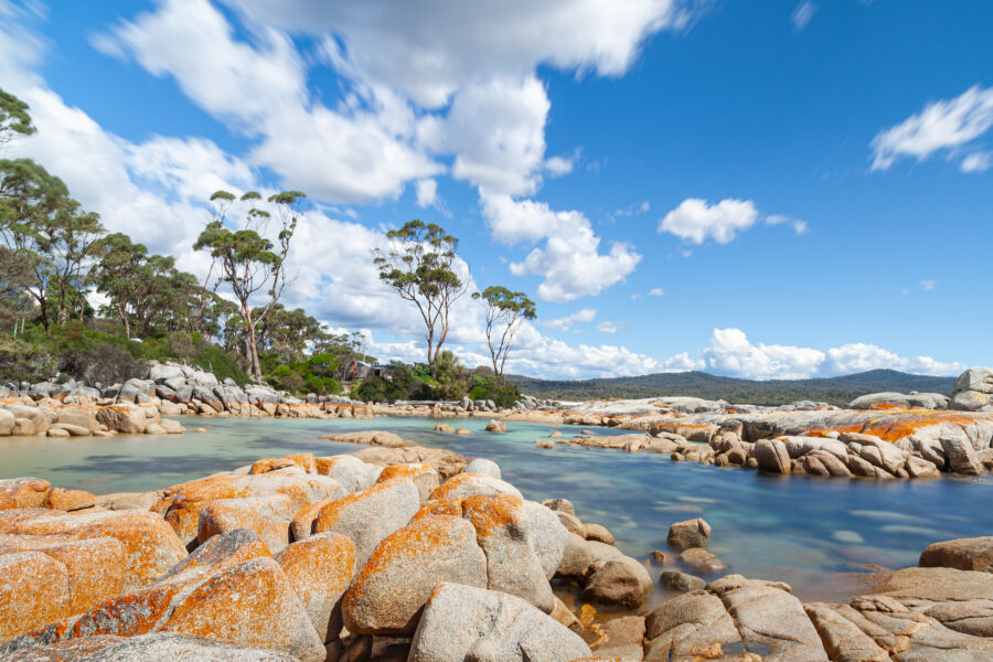 Vibrant red boulders at the Bay of Fires in Tasmania, Australia, highlighting the region's unique natural beauty