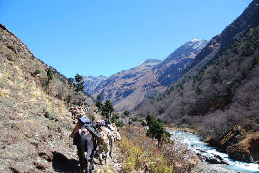 Hikers enjoying a scenic trek in Bhutan, with vibrant landscapes