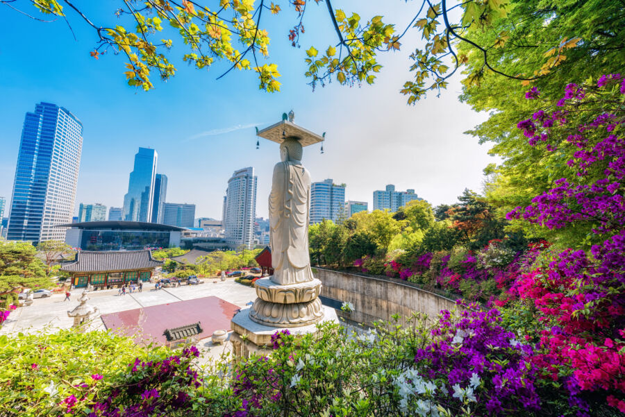 Bongeunsa Temple in Gangnam, Seoul, surrounded by lush greenery