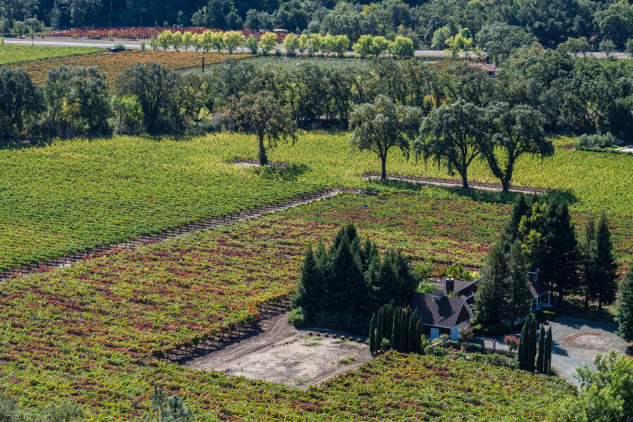 Elevated View of Vineyard With House, Calistoga, California, USA