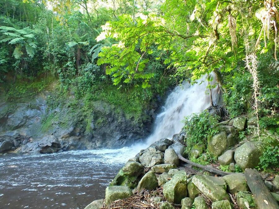 Cascada De Texolo