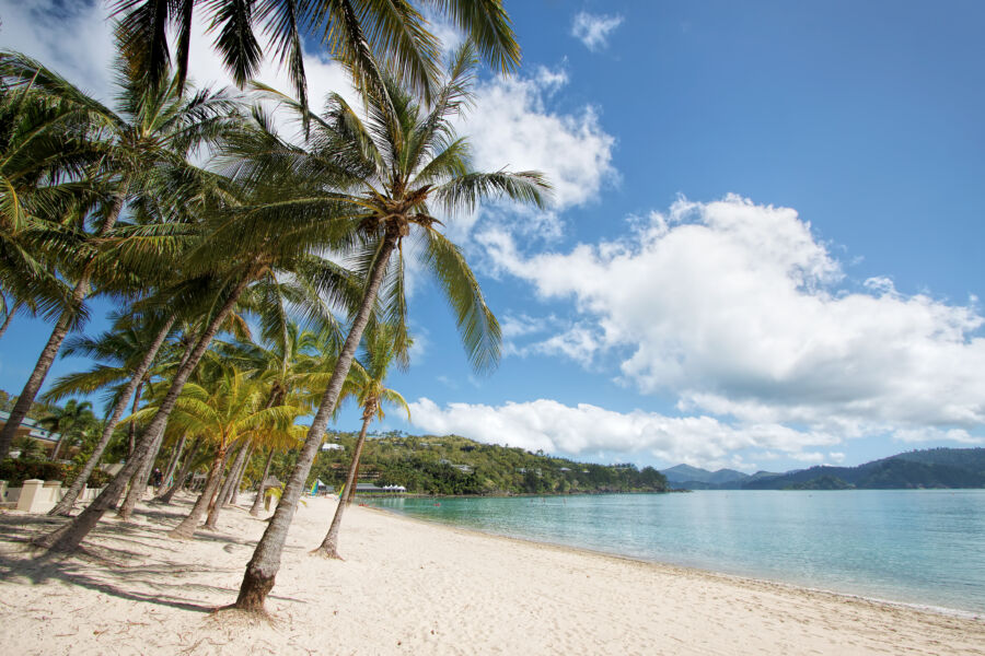 Palm trees sway under a cloudy sky at Catseye Beach, Hamilton Island, Australia, creating a serene tropical atmosphere.