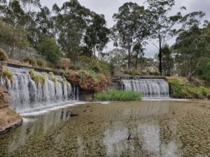 Central Gardens Nature Reserve