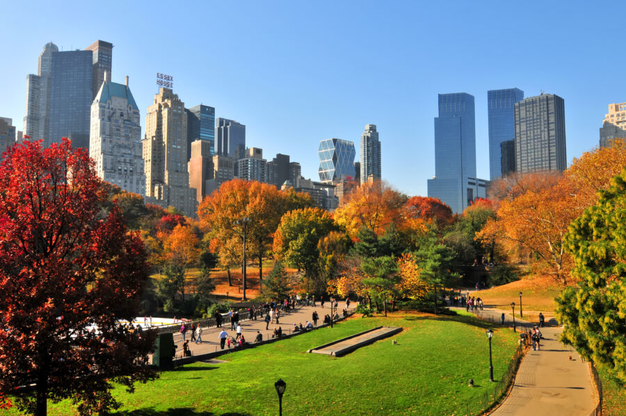 Vibrant autumn foliage in Central Park, New York City, showcasing a blend of orange, yellow, and red leaves against a clear sky.