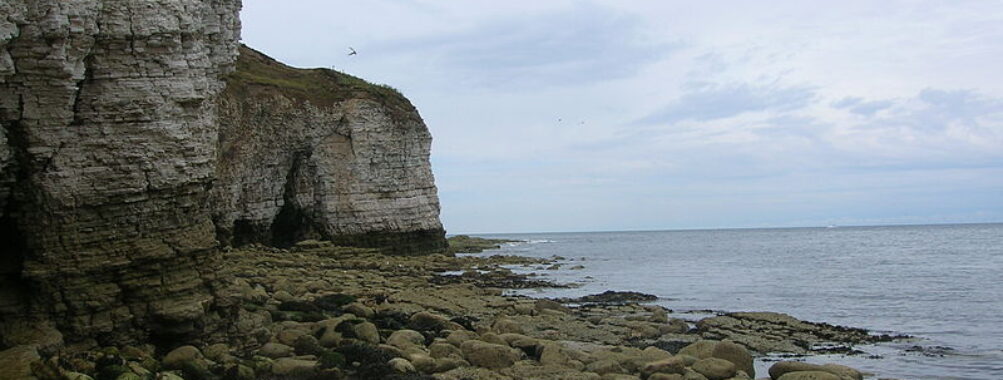 Flamborough Cliffs