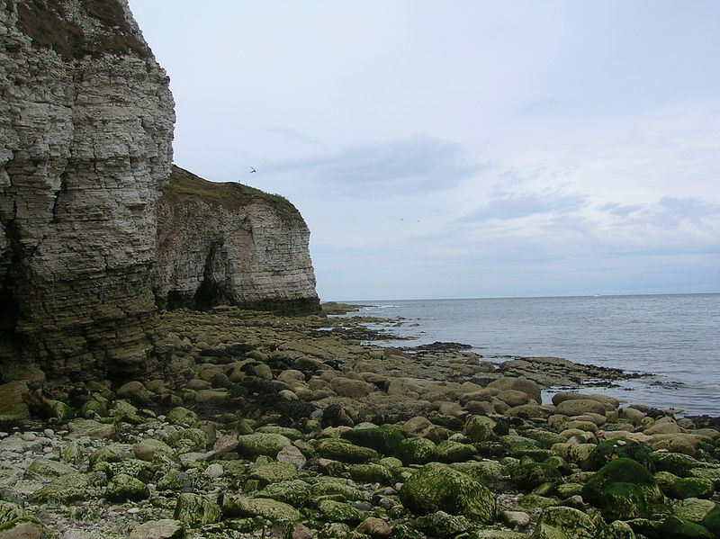 Flamborough Cliffs