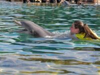 Discovery Cove Florida