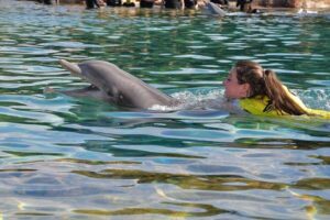 Discovery Cove