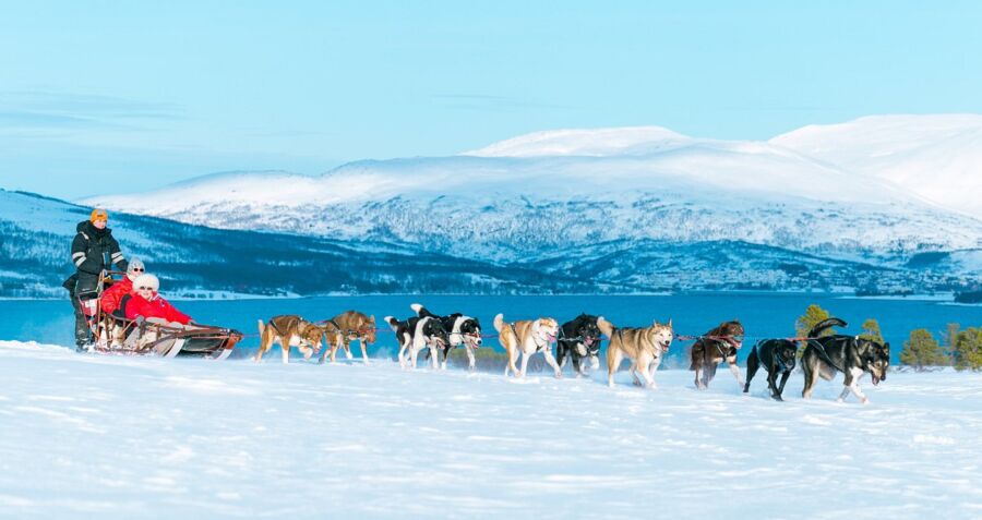 Tromso Wilderness Center - Dog sledding