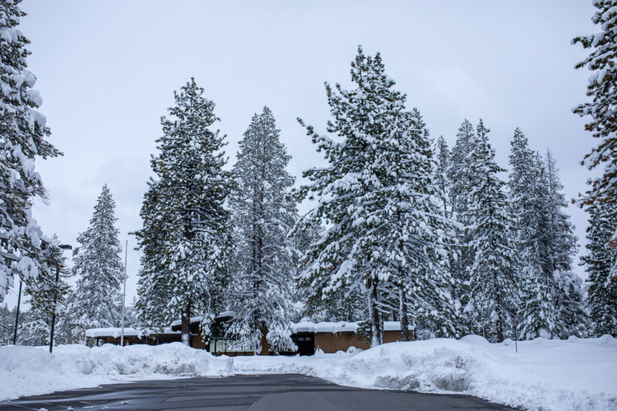 Donner Memorial State Park , California