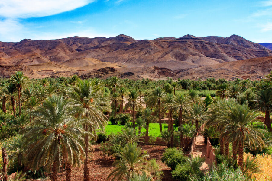 village in Draa valley