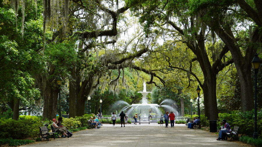 Panoramic view of Forsyth Park in Savannah, Georgia, featuring a shady walkway lined with trees in the Historic District