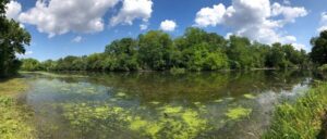 Fullersburg Woods Nature Education Center