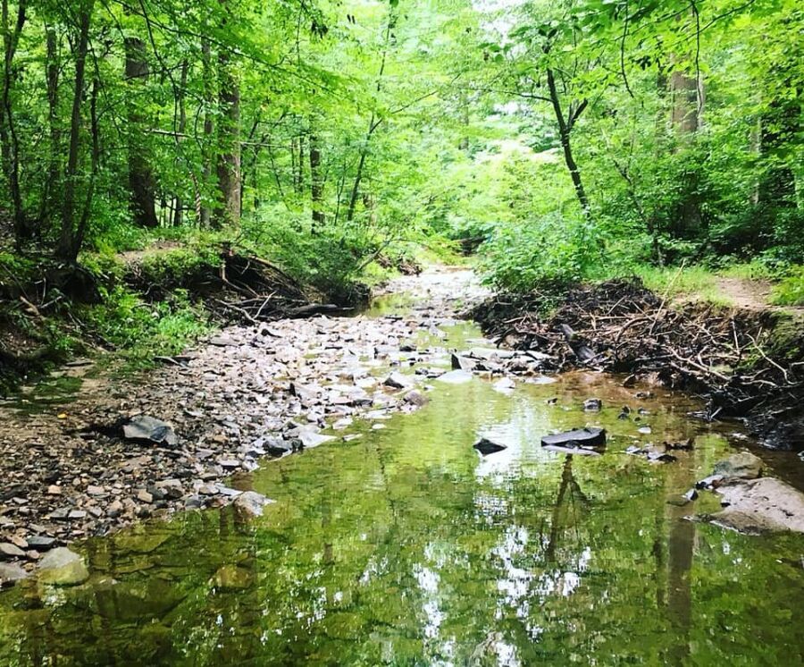 Hidden Oaks Nature Center