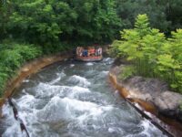 Kali River Rapids