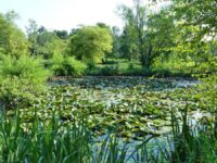 Kenilworth Park & Aquatic Gardens