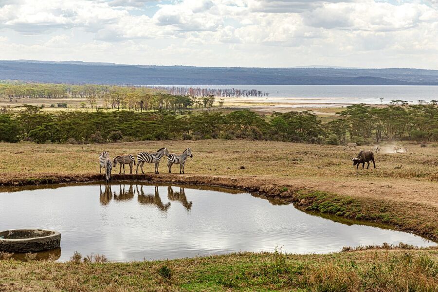 Lake Nakuru National Park