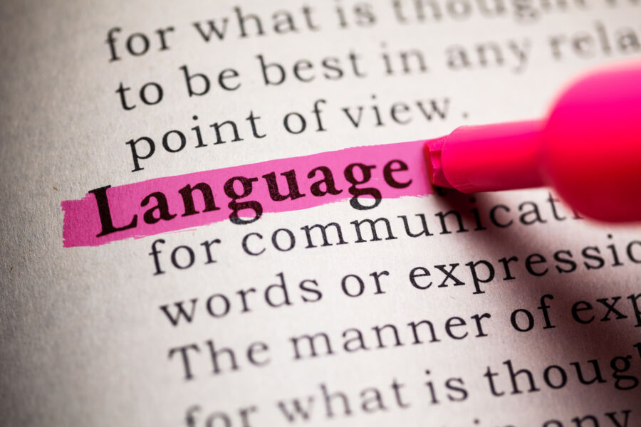 The word "Language" is marked with a pink highlighter on a dictionary page, drawing attention to its definition