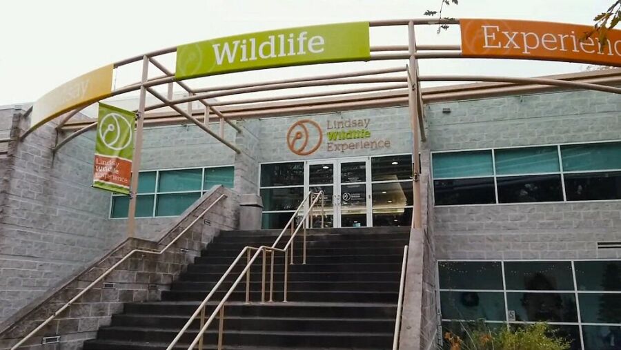 Lindsay Wildlife Experience