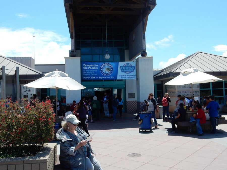 Living Coast Discovery Center