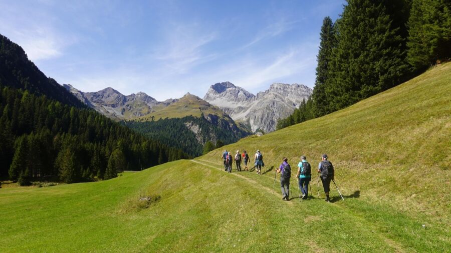 Hikers on lush valley trail with mountains, trees, and sunny blue sky.