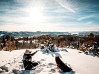 Man with pet dog at a winter park