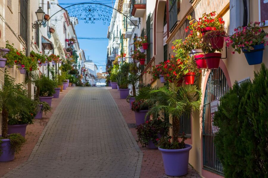 Charming Mediterranean alleyway with vibrant flowers, palm plants, and intricate architectural details.