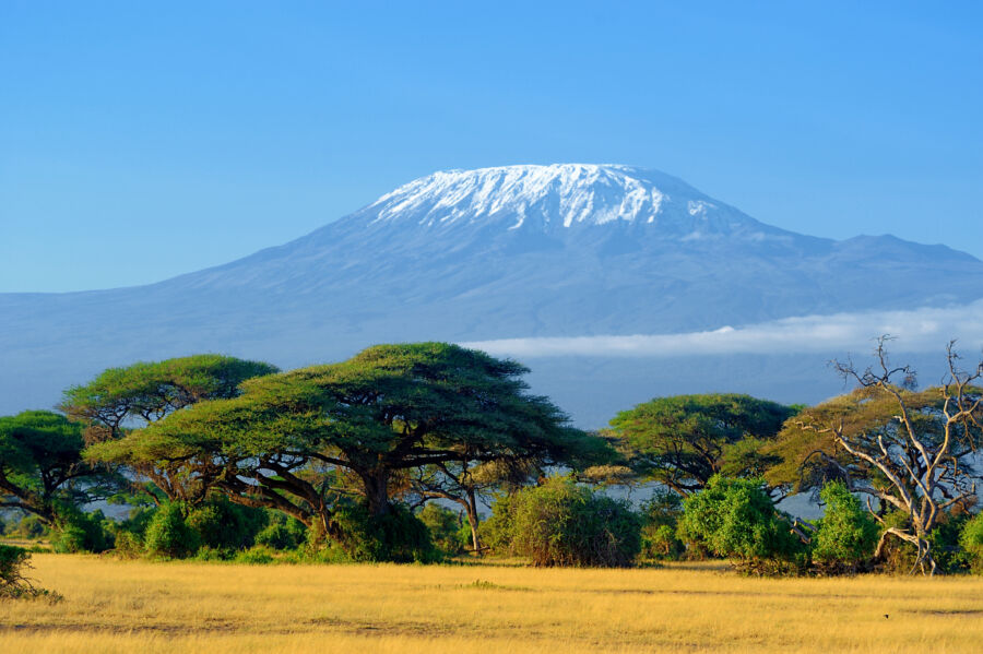 Panoramic view of Mount Kilimanjaro, showcasing its majestic peak and surrounding landscape in Tanzania