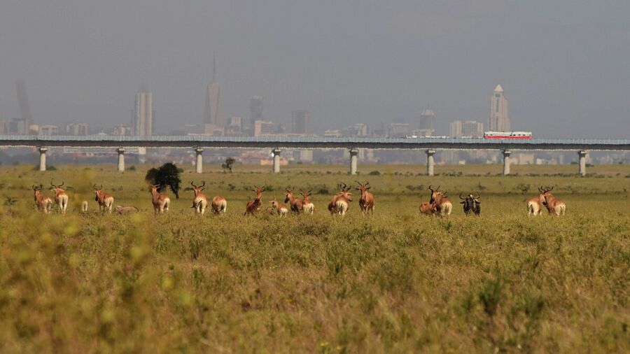 Intrusive SGR Railway in Nairobi National Park