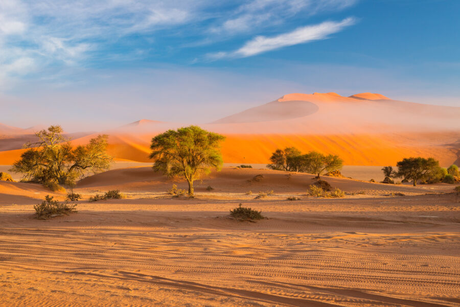 Breathtaking view of sand dunes at dawn in the Namib Desert, captured during a road trip through Namib Naukluft National Park