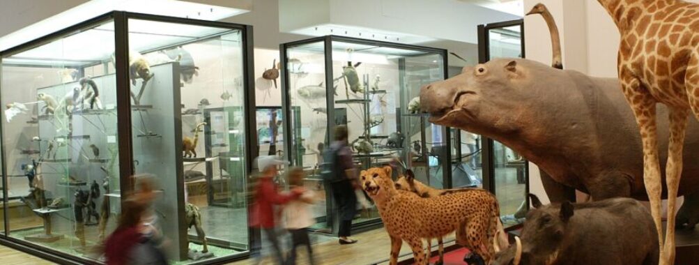 Nancy Museum-Aquarium