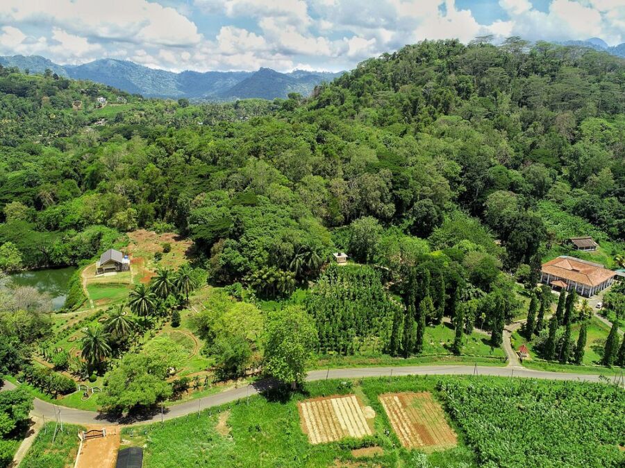 view from the top of National Spice Garden