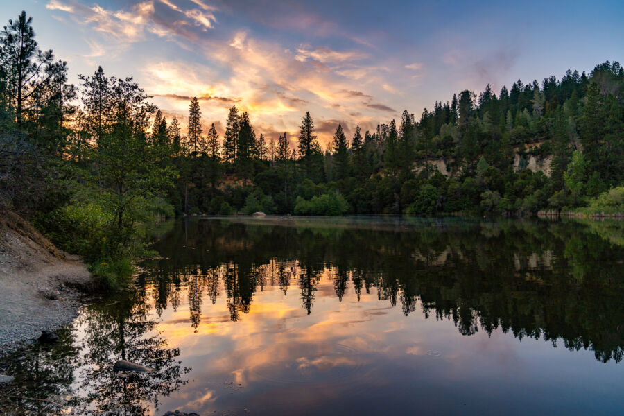 Reflections On Hirschman Pond in Nevada City, California