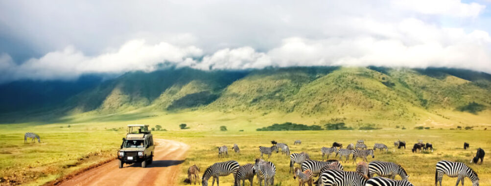 Wild nature of Africa. Zebras against mountains and clouds.