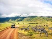 Wild nature of Africa. Zebras against mountains and clouds.