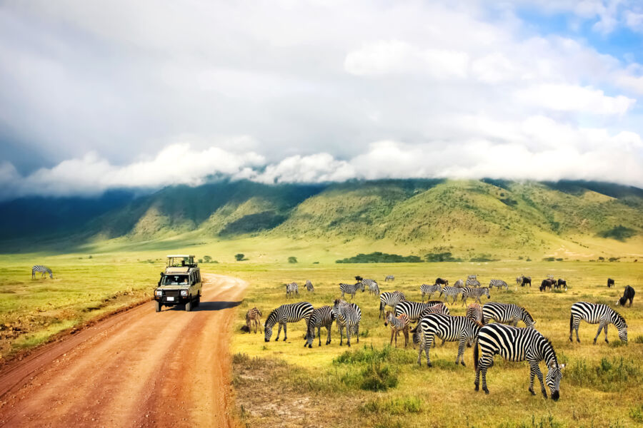 Wild nature of Africa. Zebras against mountains and clouds.