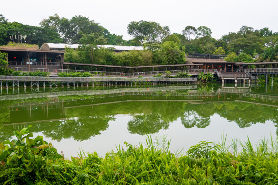 Night Safari Singapore features a panoramic scene of nocturnal wildlife