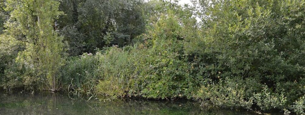 Oughtonhead Common Nature Reserve