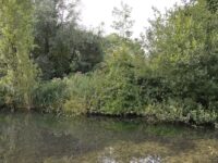 Oughtonhead Common Nature Reserve