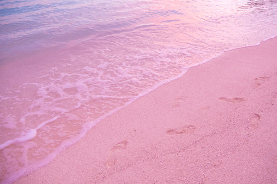 Pink Sands Beach, Harbour Island, Bahamas